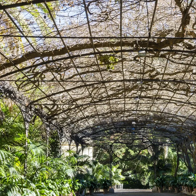 dekoracja na&nbsp;bramie